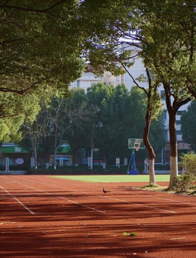 风景|王后雄精品补习学校景色一览